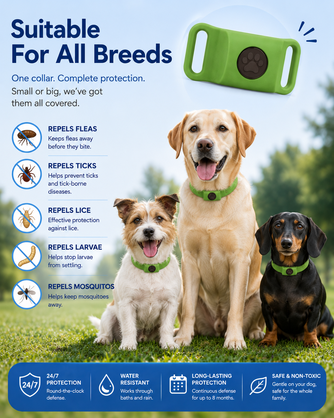 Flea & Tick 12 Months Protection Collar for Dogs – All-Season Anti-Tick Pet Collar